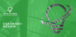 OASIS+ Compliance & OSP Review (incl 1 domain)