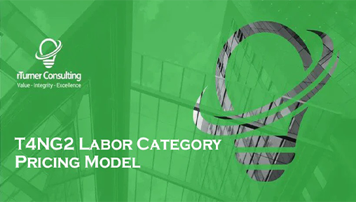 T4NG2 Labor Category Pricing Model